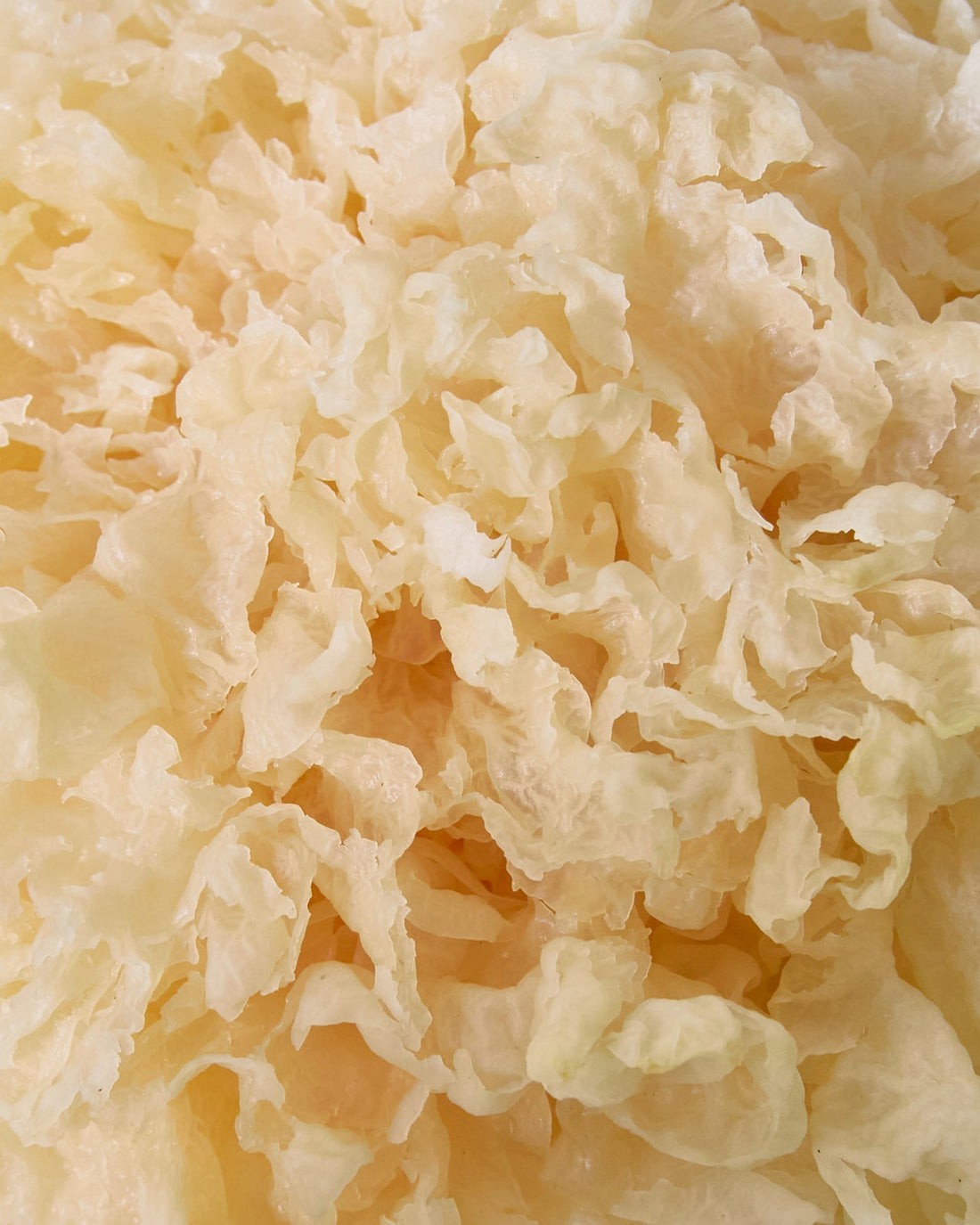 The Magic of Snow Mushroom for Your Skin